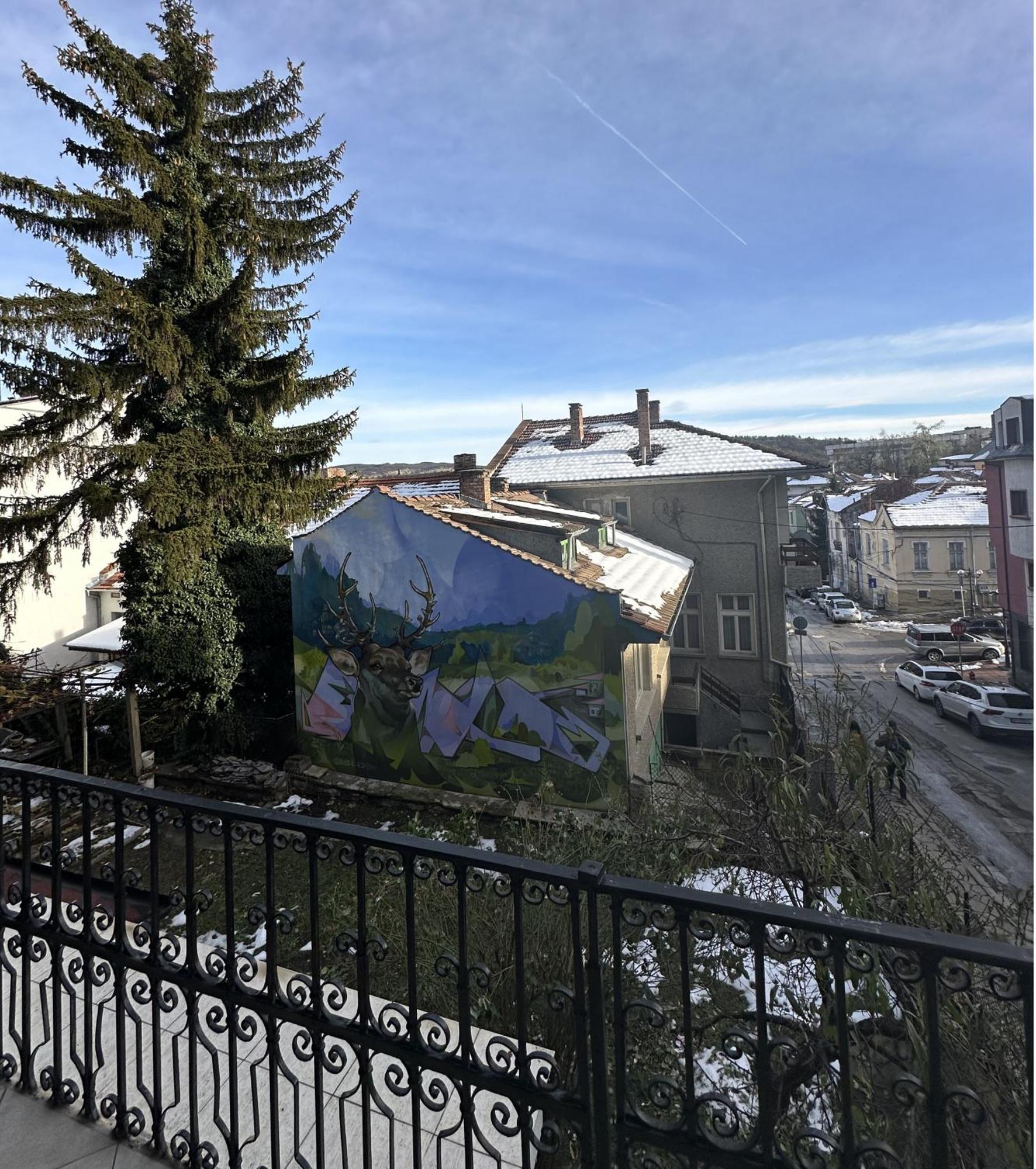 Guesthouse Petra Veliko Tŭrnovo Eksteriør bilde